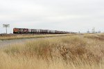 BNSF EB grain